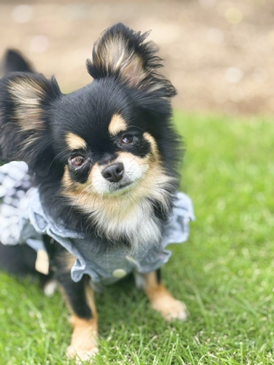 2025-10-26追加 2025-10-26追加