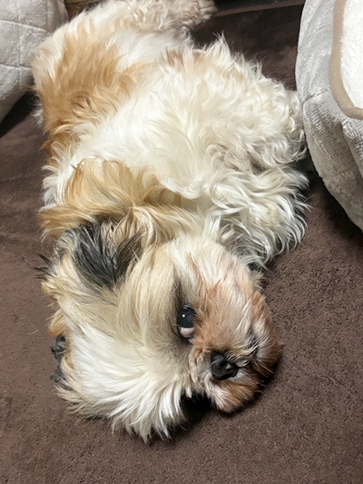 2025-11-28追加 2025-11-28追加