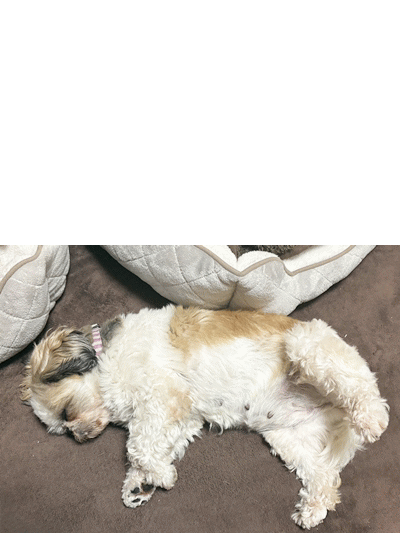 2025-11-28追加 2025-11-28追加