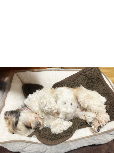 2025-11-28追加 2025-11-28追加