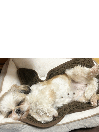 2025-11-28追加 2025-11-28追加